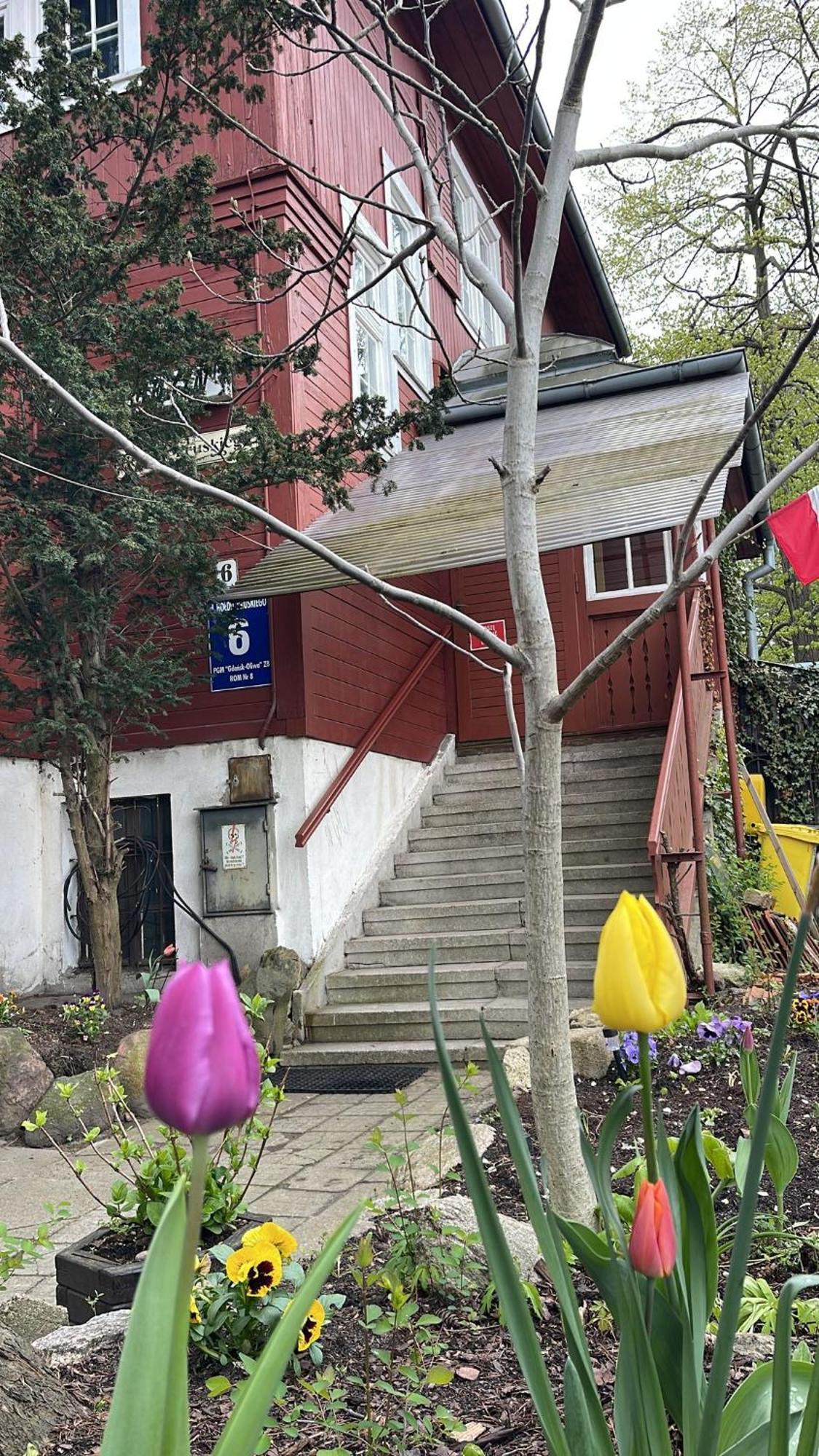 Villa Rekin Gdańsk Zewnętrze zdjęcie