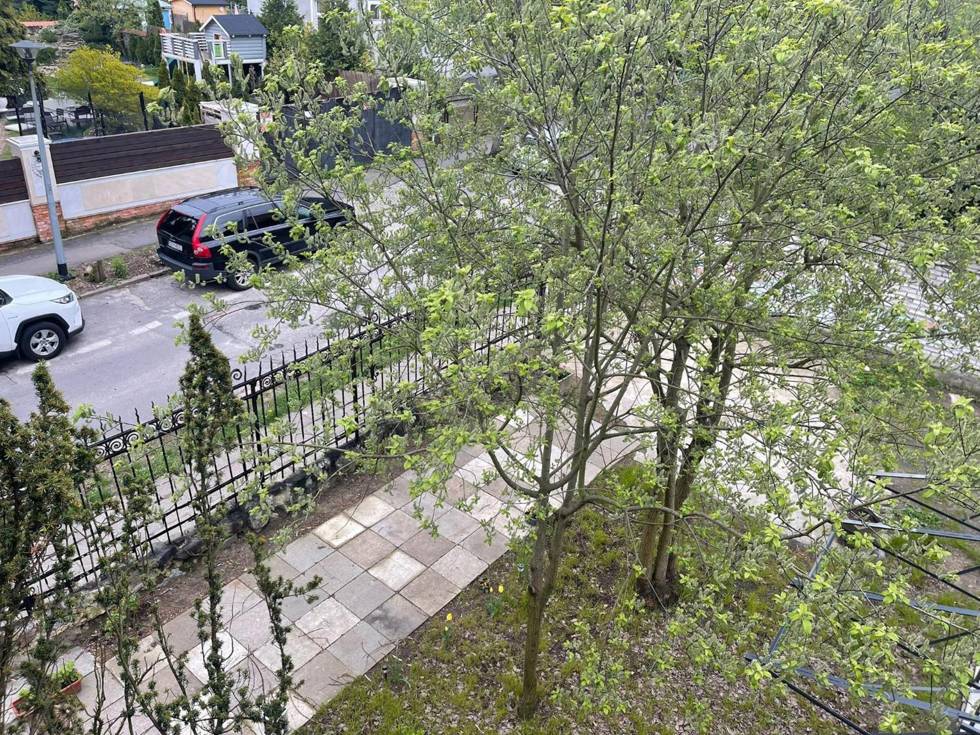 Villa Rekin Gdańsk Zewnętrze zdjęcie
